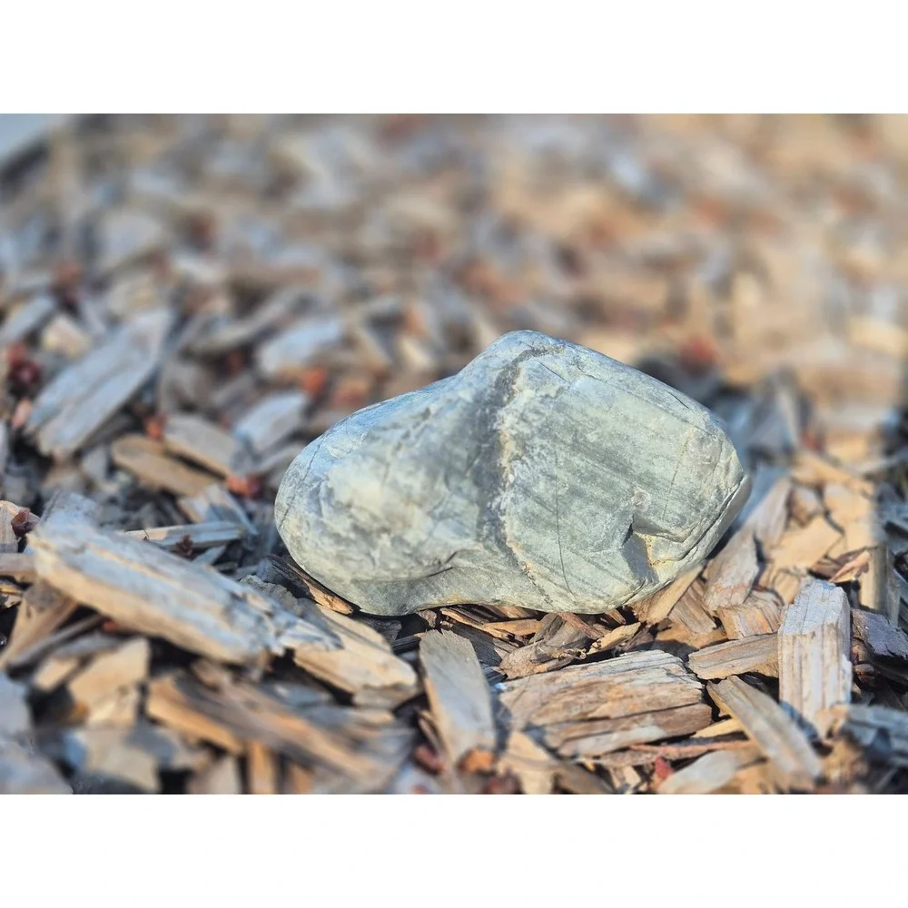 PNW Wishing Stone • Quartz Vein Beach Pebble • Cleansed PNW Altar Stone & Amulet